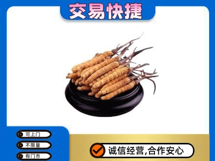 左权县礼品回收散虫草.jpg